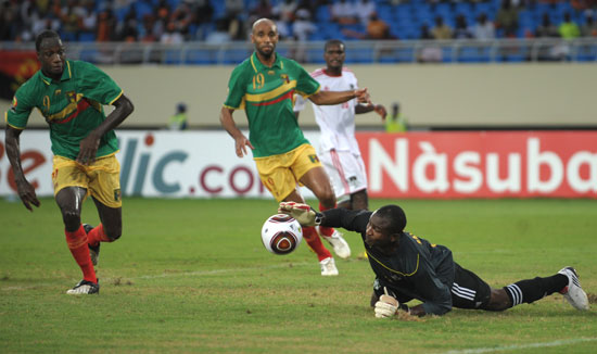 短突分球 短突分球